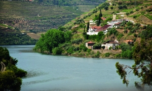 Séjour Croisière sur le Douro